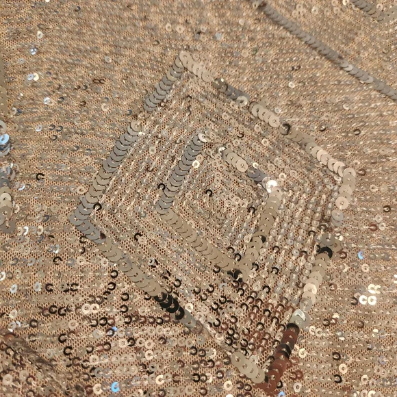 Skies Are Blue Top, Silver Sequined Cropped, Sz Small EUC Party, Cocktail, Club - Picture 9 of 14